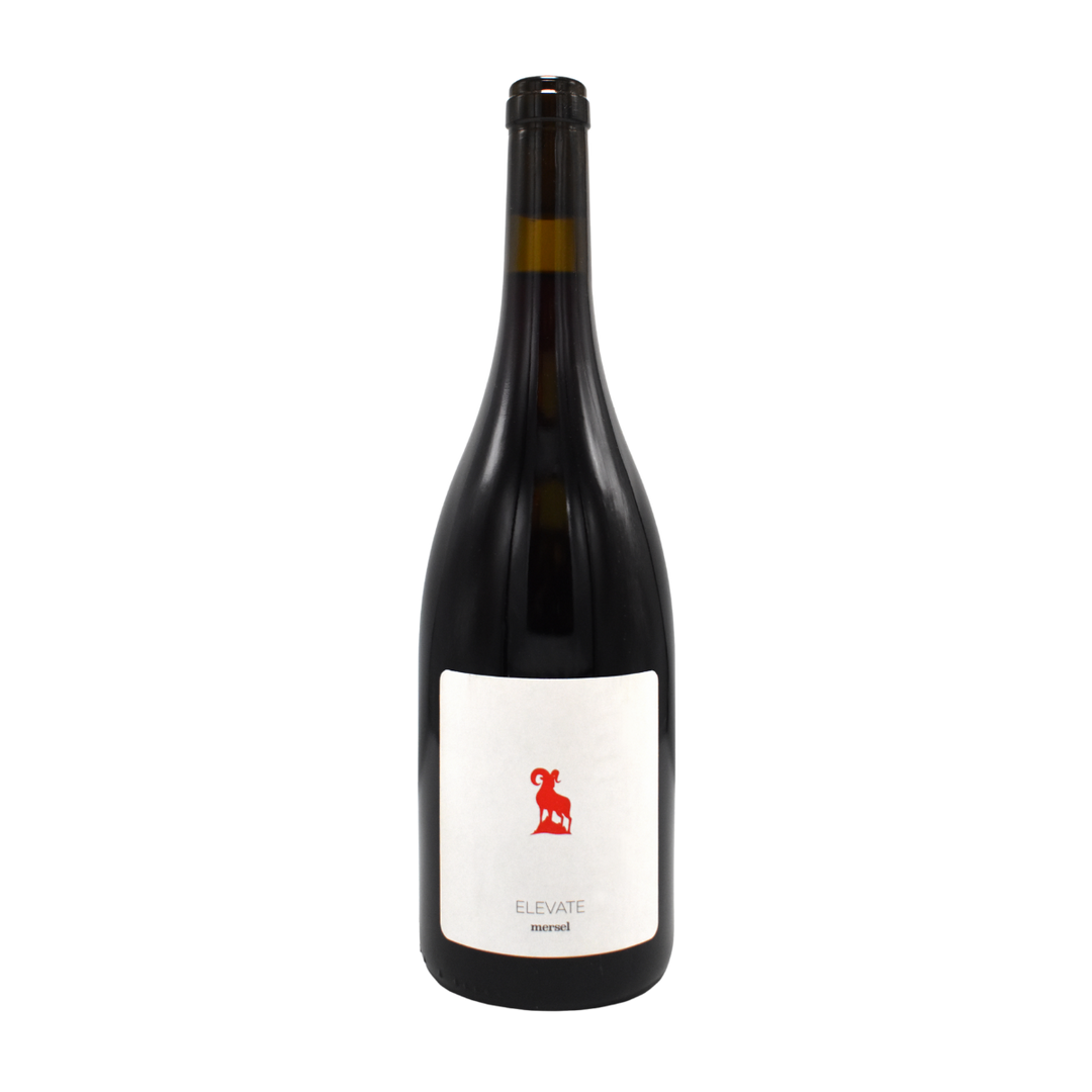 Mersel | Elevate Pinot Noir - Wine - Buy online with Fyxx for delivery.