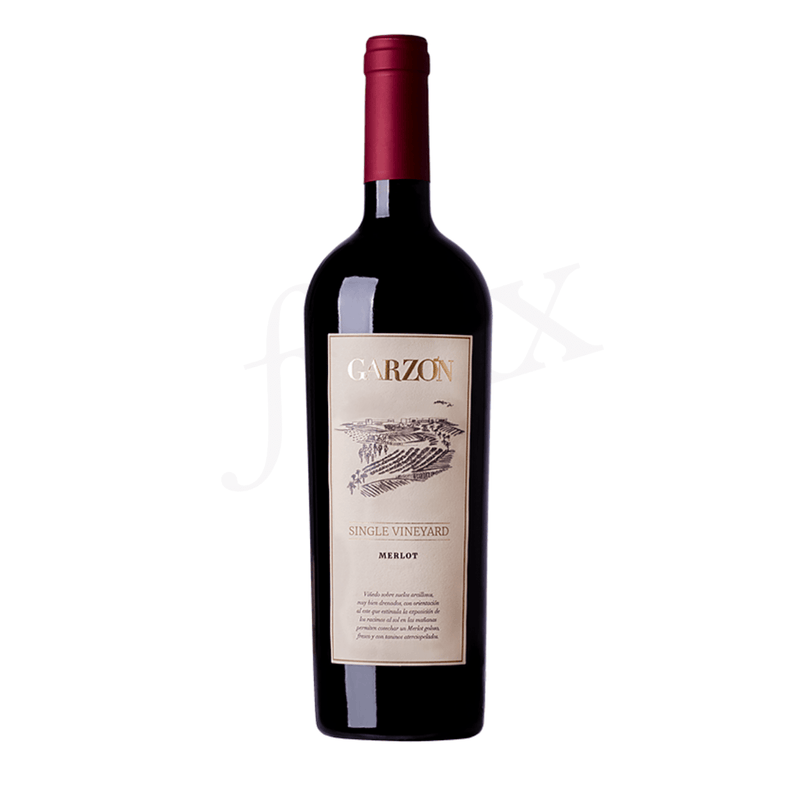 Bodega Garzón | Single Vineyard - Merlot - Wine - Buy online with Fyxx for delivery.