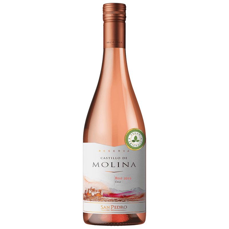 Castillo de Molina Rosé - Wine - Buy online with Fyxx for delivery.