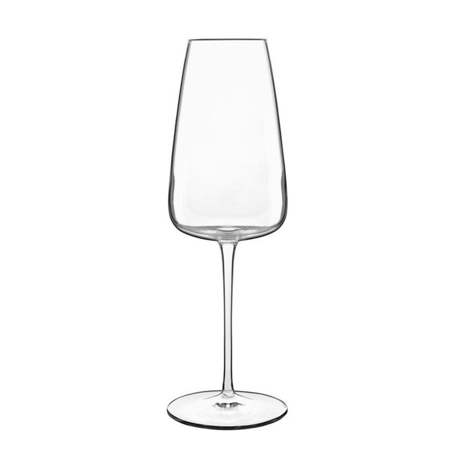 Luigi Bormioli | I Meravigliosi Sparkling Wine Glass - Glassware - Buy online with Fyxx for delivery.