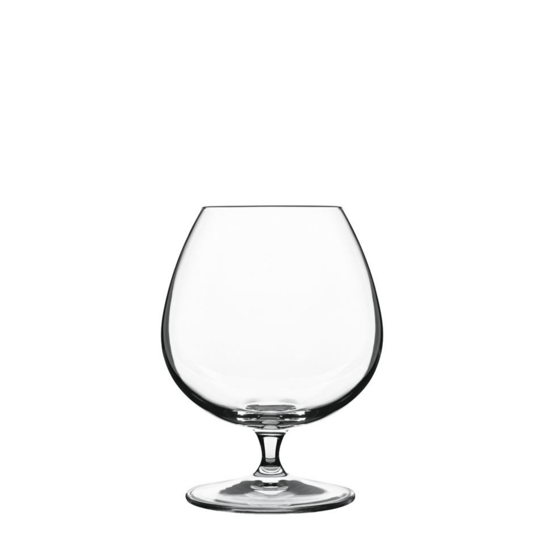 Luigi Bormioli | Vinoteque Cognac Glass - Glassware - Buy online with Fyxx for delivery.