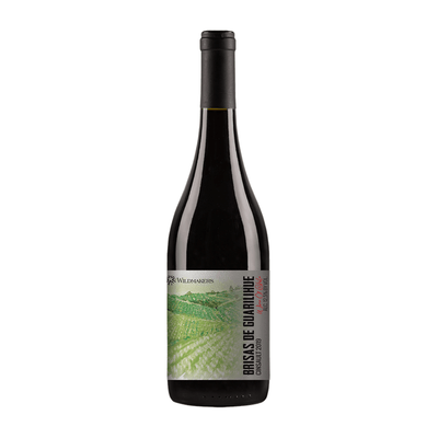 Wildmakers | Brisas de Guarilihue - Cinsault - Wine - Buy online with Fyxx for delivery.