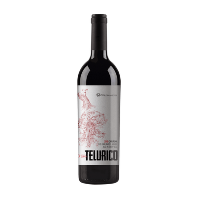 Wildmakers | Telúrico - Wine - Buy online with Fyxx for delivery.